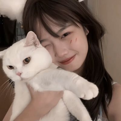 炉石盒子手机版下载